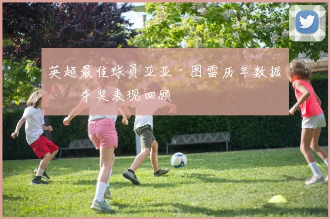 英超最佳球员亚亚·图雷历年数据与夺奖表现回顾