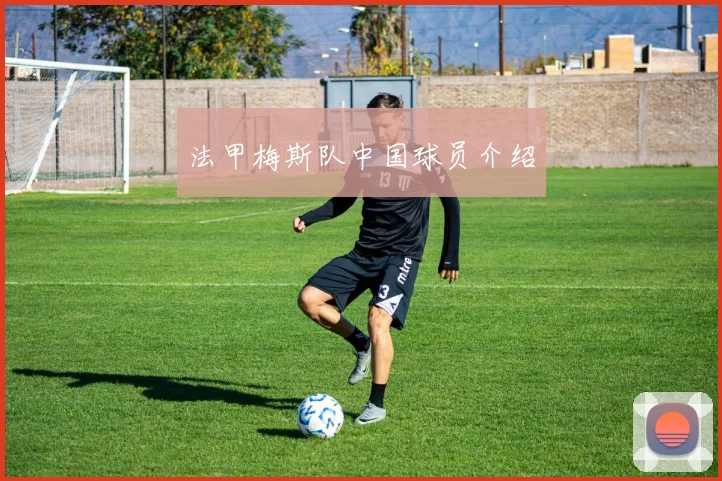 法甲梅斯队中国球员介绍
